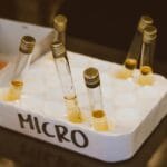 Probówki laboratoryjne z próbkami w styropianowym stojaku z napisem MICRO